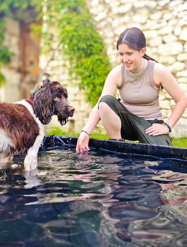 Piscine pour chien à La Messardière